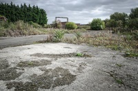 Environmental Issues Involving Brownfields Not Found