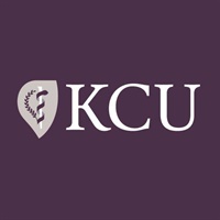 Safe Prescribing Behaviors in Primary Care for Pain, Depression, and Anxiety Not Found