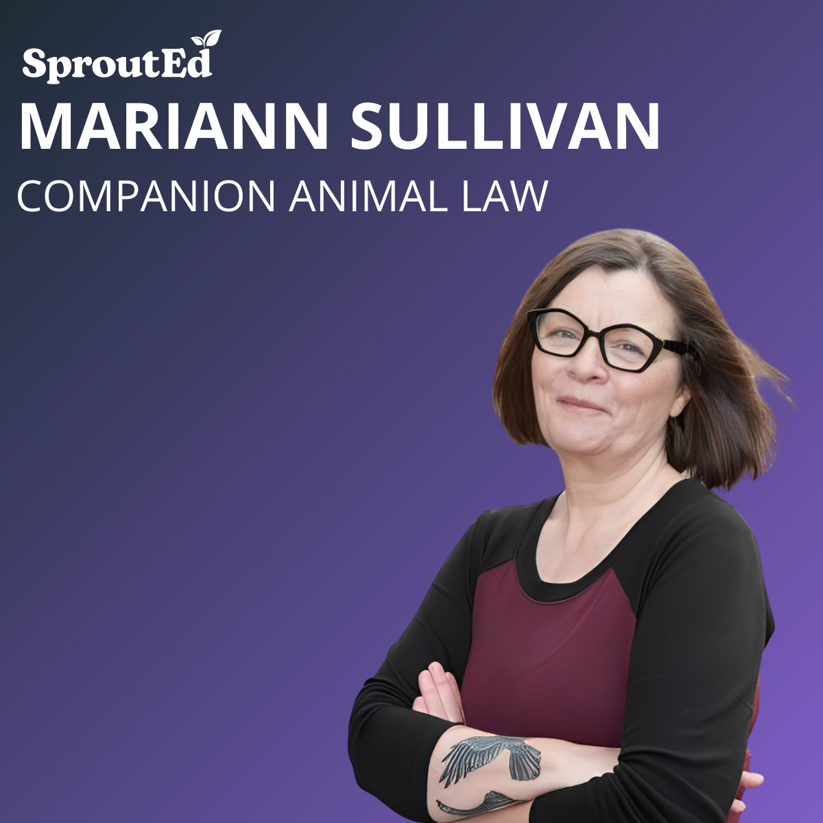 Companion Animal Law Not Found