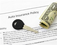 The Personal Auto Policy – A Friendly Little Fella – Until He Isn’t Not Found
