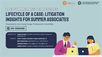 Lifecycle of a Case: Litigation Insights for Summer Associates Not Found
