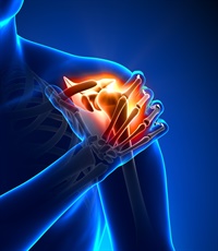 Simplifying Shoulder Rehabilitation for the Busy Chiropractic Physician Not Found