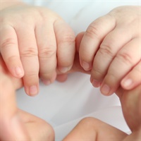 Pediatric Webinar Not Found