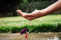 Creating a Diagnostic Statement that will make ICD-10 Experts Happy Not Found