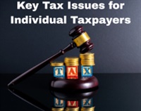 Key Tax Issues for Individual Taxpayers Not Found