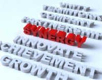 Safety Synergy: Uniting Elements for a Secure Workplace Not Found