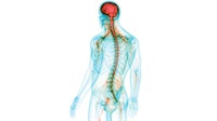 Chiropractic Management for POTS & Dysautonomia Not Found