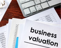 Business Valuation Fundamentals Not Found