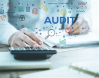 Officer Compensation Audits What It Is and How to Defend It Not Found