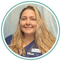 Katelin McConkey, DVM's Profile