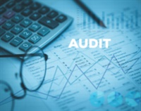 Preparing and Reviewing Workpapers for Higher Quality Audits Not Found