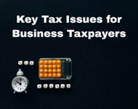 Key Tax Issues for Business Taxpayers Not Found