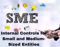Internal Controls for Small and Medium-Sized Entities Not Found