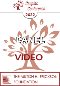 2022 Panel Video Graphics Not Found