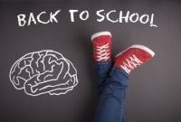 Anatomy Course for Chiropractic Assistants Not Found