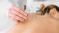 Acupuncture 100 Level - Wknd 4 Only 2025 Not Found