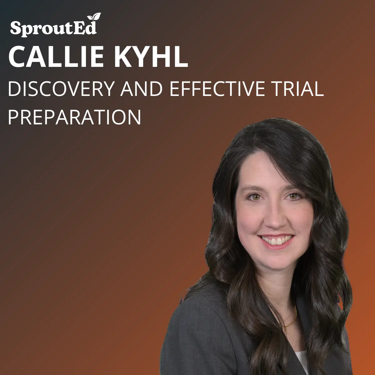 Discovery and Effective Trial Preparation Not Found