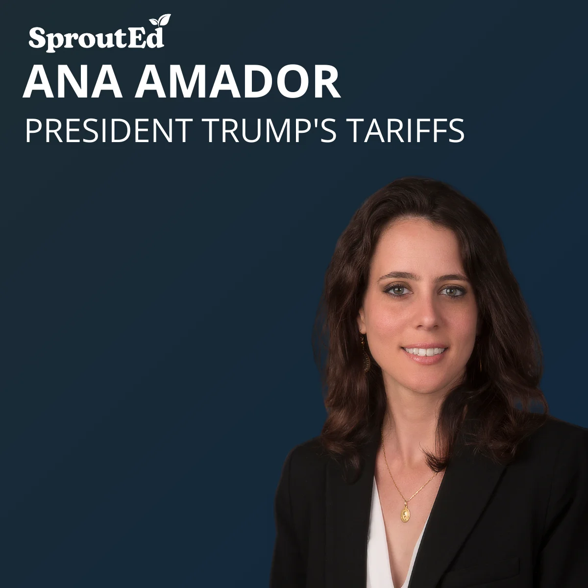 President Trump's Tarrifs Not Found