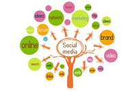 Social Media: Risks and Benefits Not Found