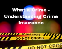 What a Crime - Understanding Crime Insurance Not Found