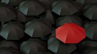 Open Umbrellas Not Found