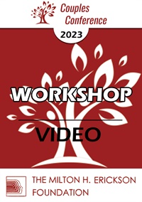 2023 Workshop Video Graphics Not Found