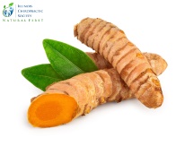 Improving Therapeutic Outcomes Using the Whole Turmeric Root – Not Just Curcumin Not Found
