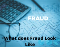 What does Fraud Look Like Not Found