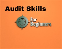 Audit Skills for Beginners Not Found