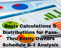Basis Calculations & Distributions for Pass-Thru Entity Owners Schedule K-1 Analysis Not Found