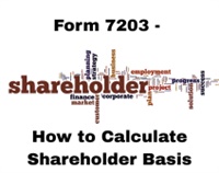 Form 7203 - How to Calculate Shareholder Basis Not Found