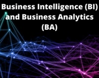 Business Intelligence (BI) and Business Analytics (BA) Not Found