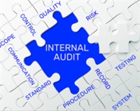 The Role of Internal Control in the Risk-Based Audit Not Found