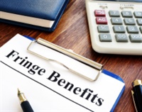 Maximizing Fringe Benefits: Strategies for Business and Personal Needs for Today and Beyond Not Found