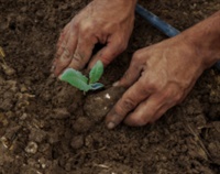Farm Property Coverage for the Small or Hobby Farmer – An Overview Not Found