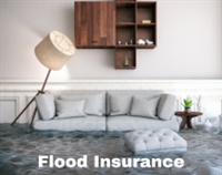Flood Insurance Not Found