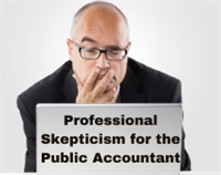 Professional Skepticism for the Public Accountant Not Found