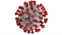 Osteopathic Manipulative Treatment (OMT) for Influenza and COVID-19: Where Are We Now? (2023) Not Found