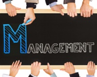 Management Companies, Are They Worth the Risk? Not Found