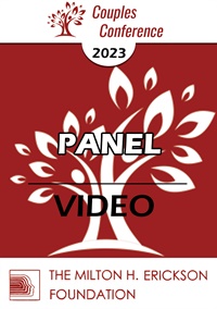 2023 Panel Video Graphics Not Found