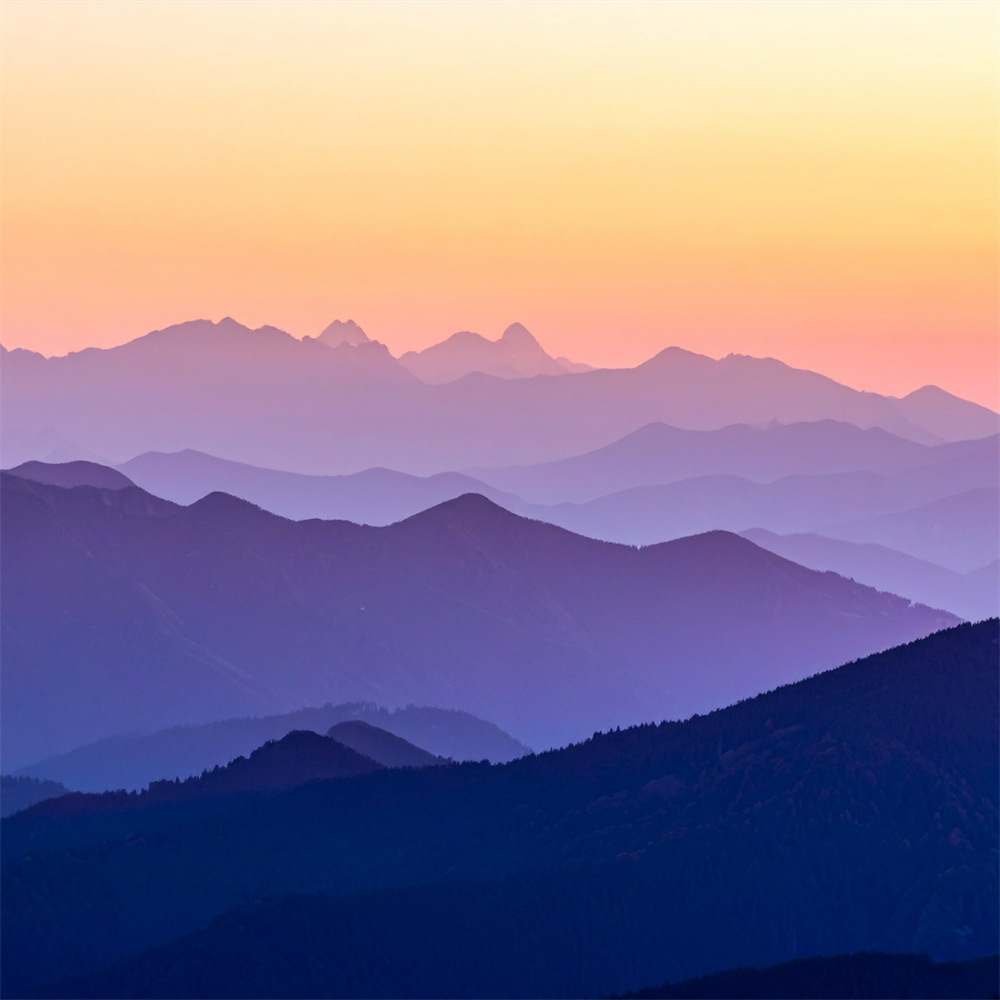 Independent Chiropractic Practice Opportunity – Hickory, NC