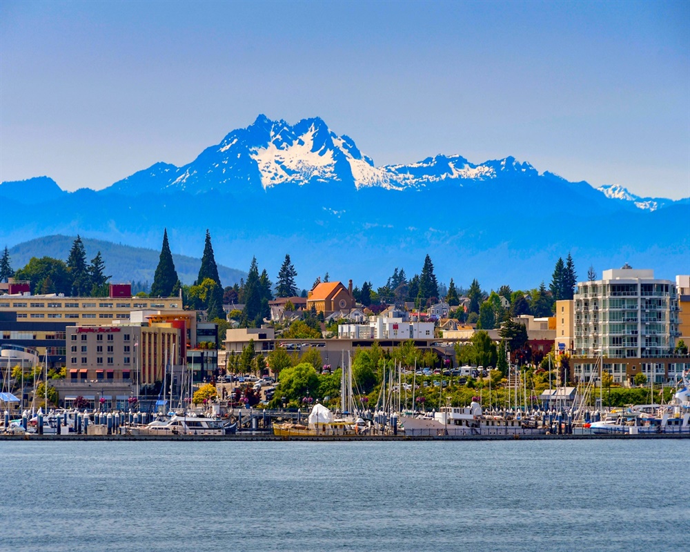 Silverdale, WA Area Chiropractic Practice for Sale