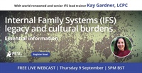Internal Family Systems (IFS) legacy and cultural burdens: essential information 2