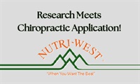 Image of Research Meets Chiropractic Application