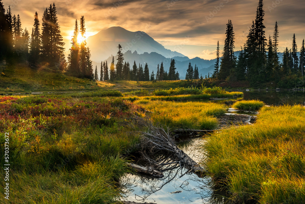 Ellensburg Washington Clinic for Sale - Motivated Seller