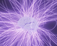 Image of Developments in Transcranial Stimulation Treatments (In Person)