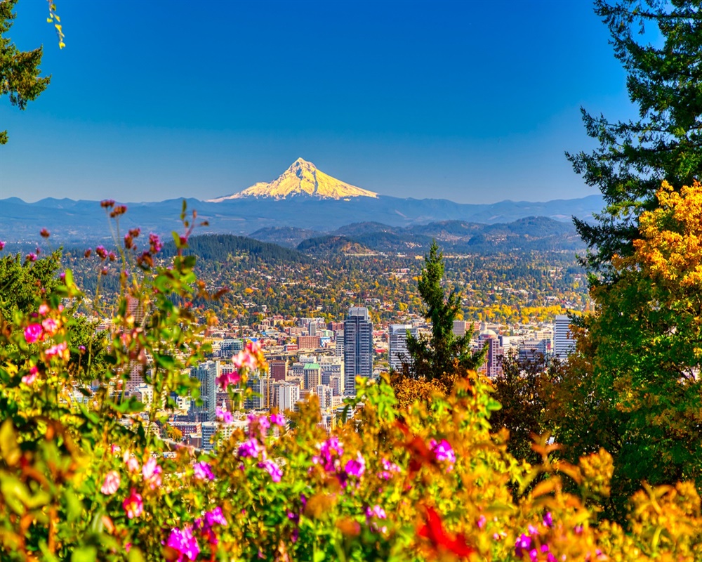 Chiropractic Practice for Sale in Happy Valley, OR