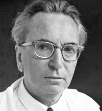 Viktor Frankl, MD, PhD's Profile