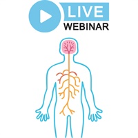 Image of The Elevated Practice: Integrating Functional Medicine into Chiropract