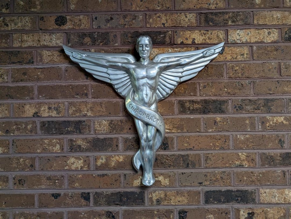 Chiropractic caduceus